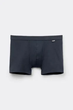 Boxer