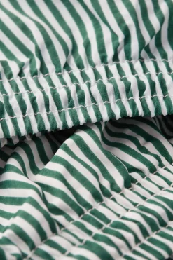 Zwemboxer met Groene Streepjesprint
